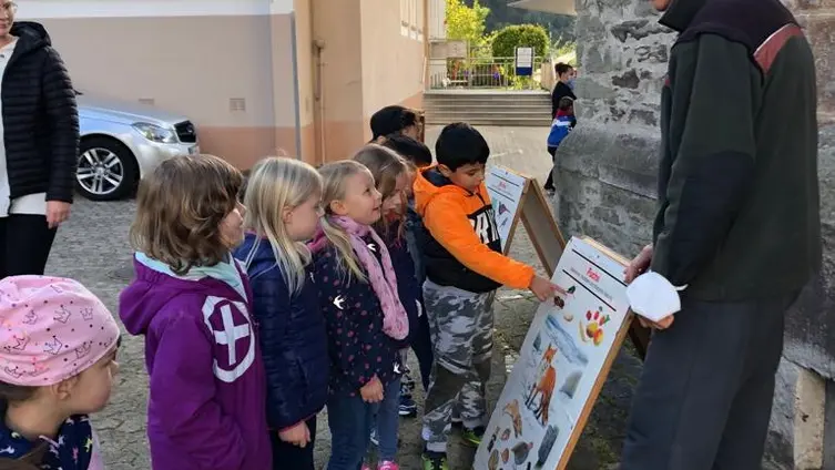 Förster Willi erklärt anhand einer Schautafel!