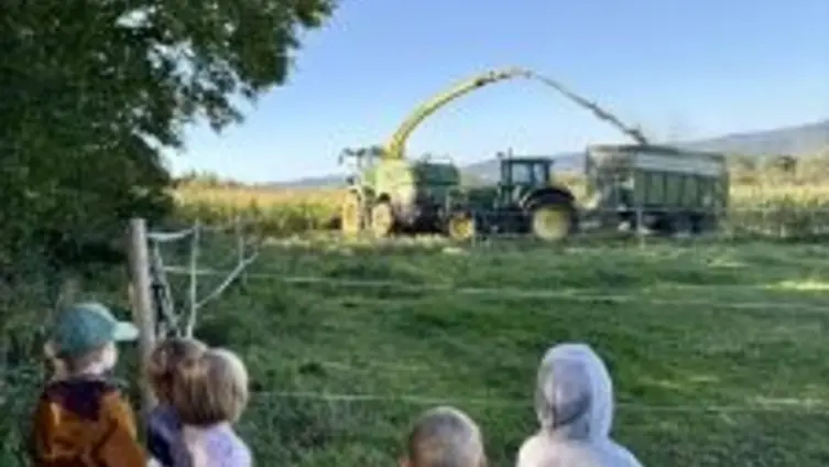 Die Kinder der KiTa beobachten den großen Traktor inklusive Anhänger bei der Maisernte.
