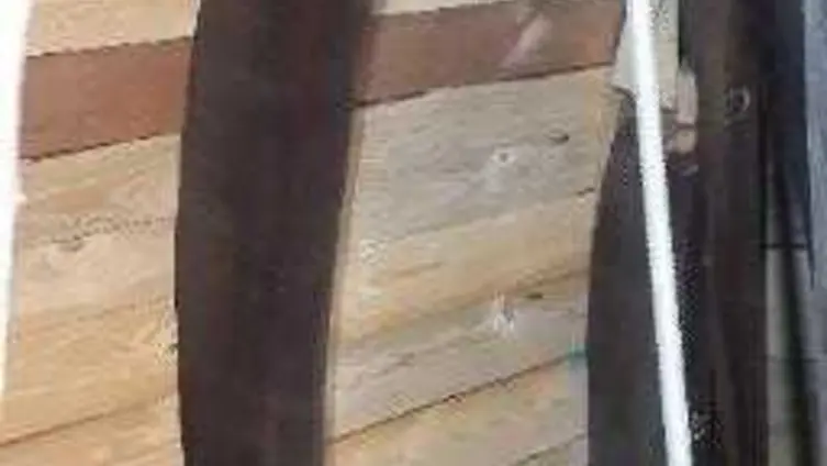 Die Texte und Fotos beruhen auf der "Besonderen Lernleistung - Geschichtsrezeption im digitalen Zeitalter: histocaching" als neue Form der Vergangenheitsbegegnung am Beispiel der Braubacher Barbarakirche." von Tobias Metz.