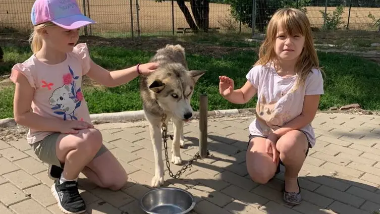 Bilder vom Ausflug der Maxikinder in den Tierpark Bell und der anschließend Abschlussfeier in der KiTa!