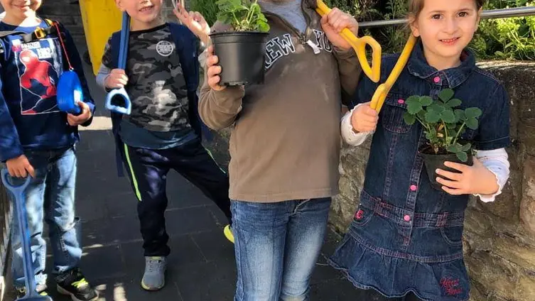 Die Fotos zeigen die Kinder der KiTa während ihrer Erdbeerplanzaktion.