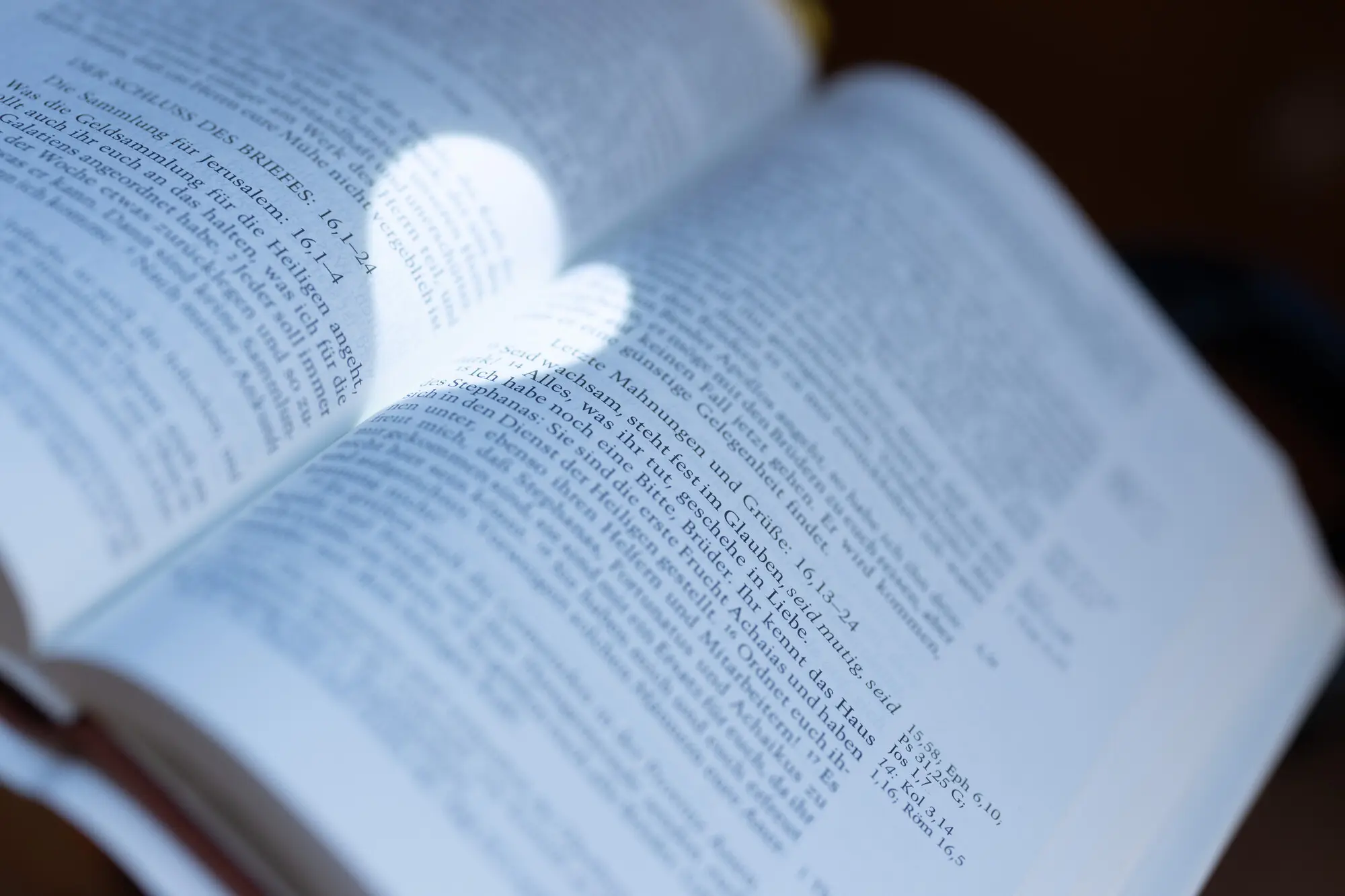 Ein kreisrunder Lichtschein scheint auf eine aufgeschlagene Bibel und zeichnet ein Herz. Im Fokus ist die Jahreslosung 2024 zu erkennen.