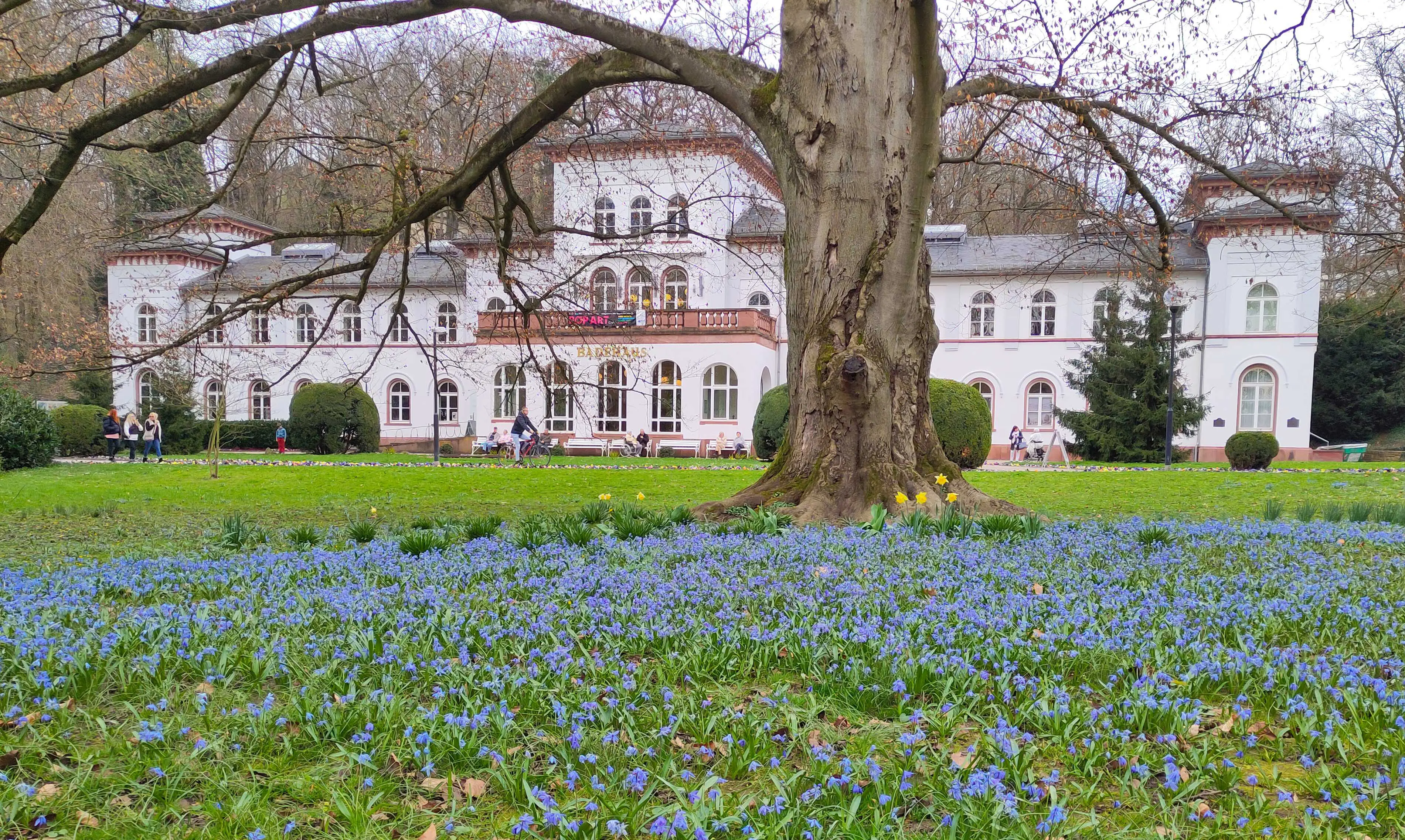 Das Badehaus im Alten Kurpark Bad Soden