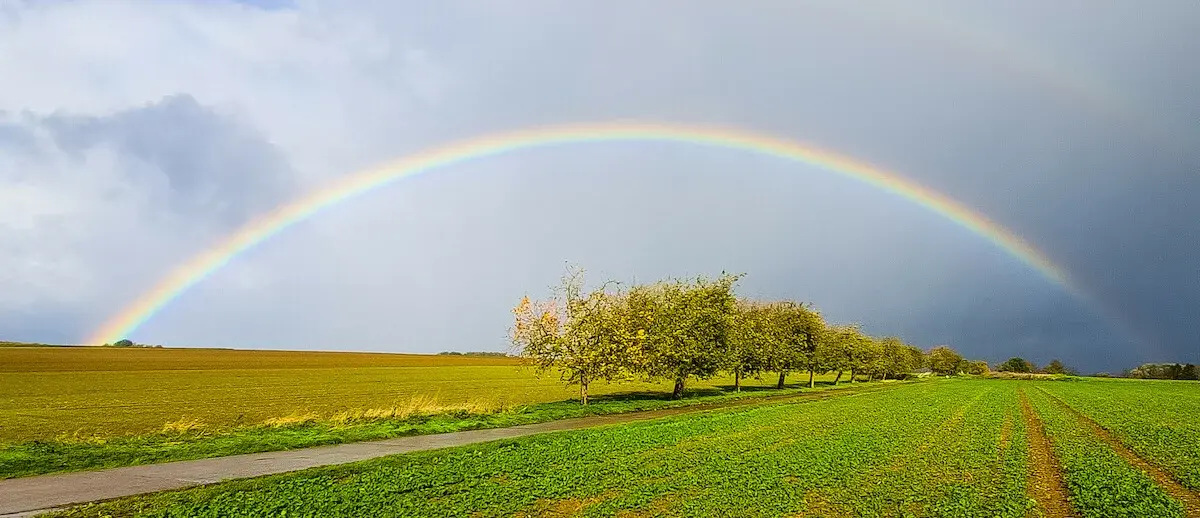 Regenbogen