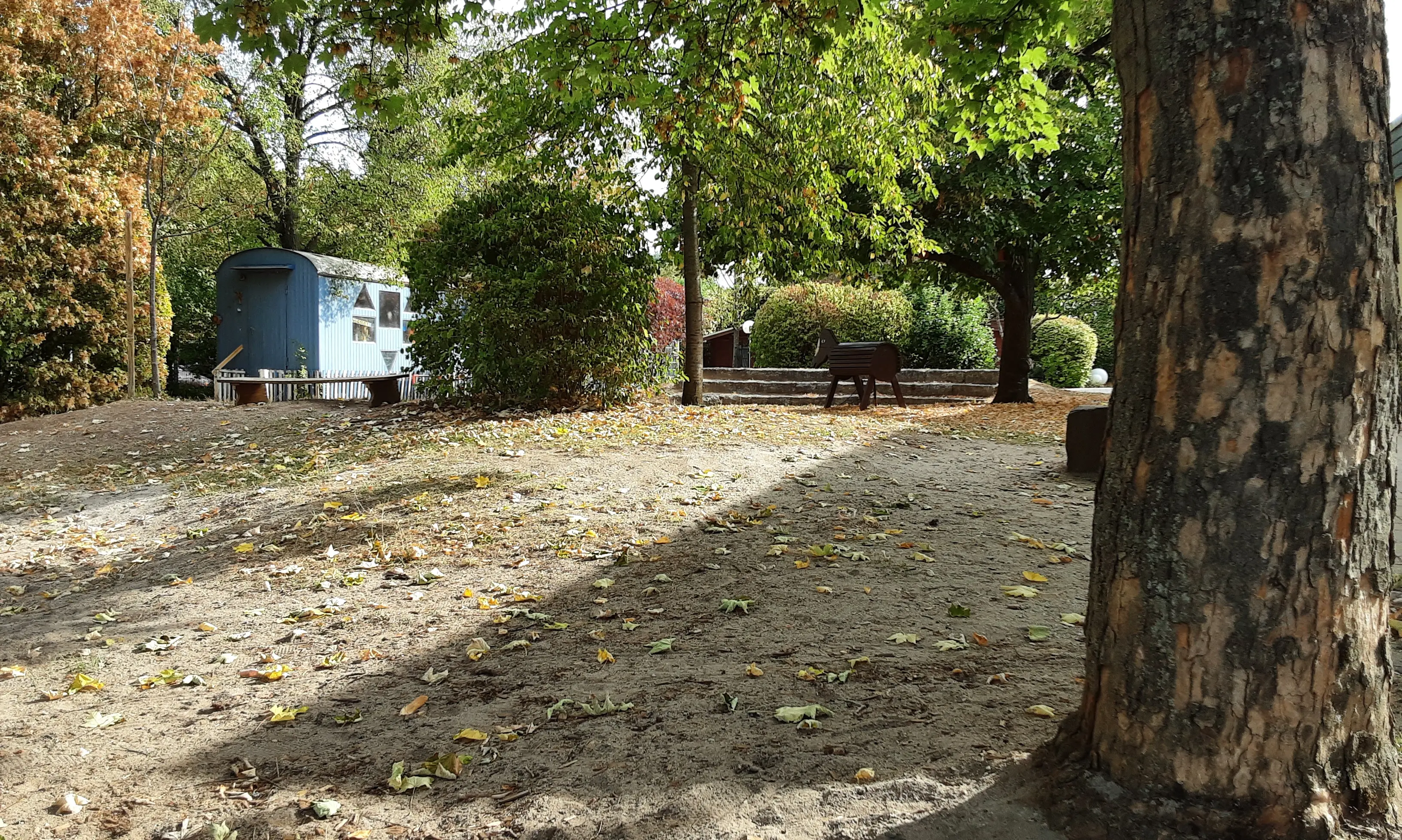 Bild von unserem Außenbereich, rechts ein Baum ganz nah, daneben der Blick aufGebüsche und im Hintergrund unseren Blauwagen.