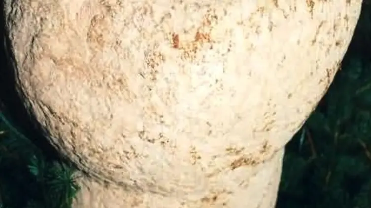 Foto des historischen Taufsteins