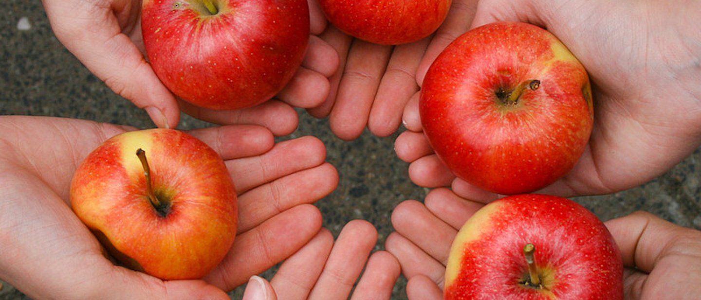 sechs geöffnete Handflächen im Kreis halten rote Äpfel