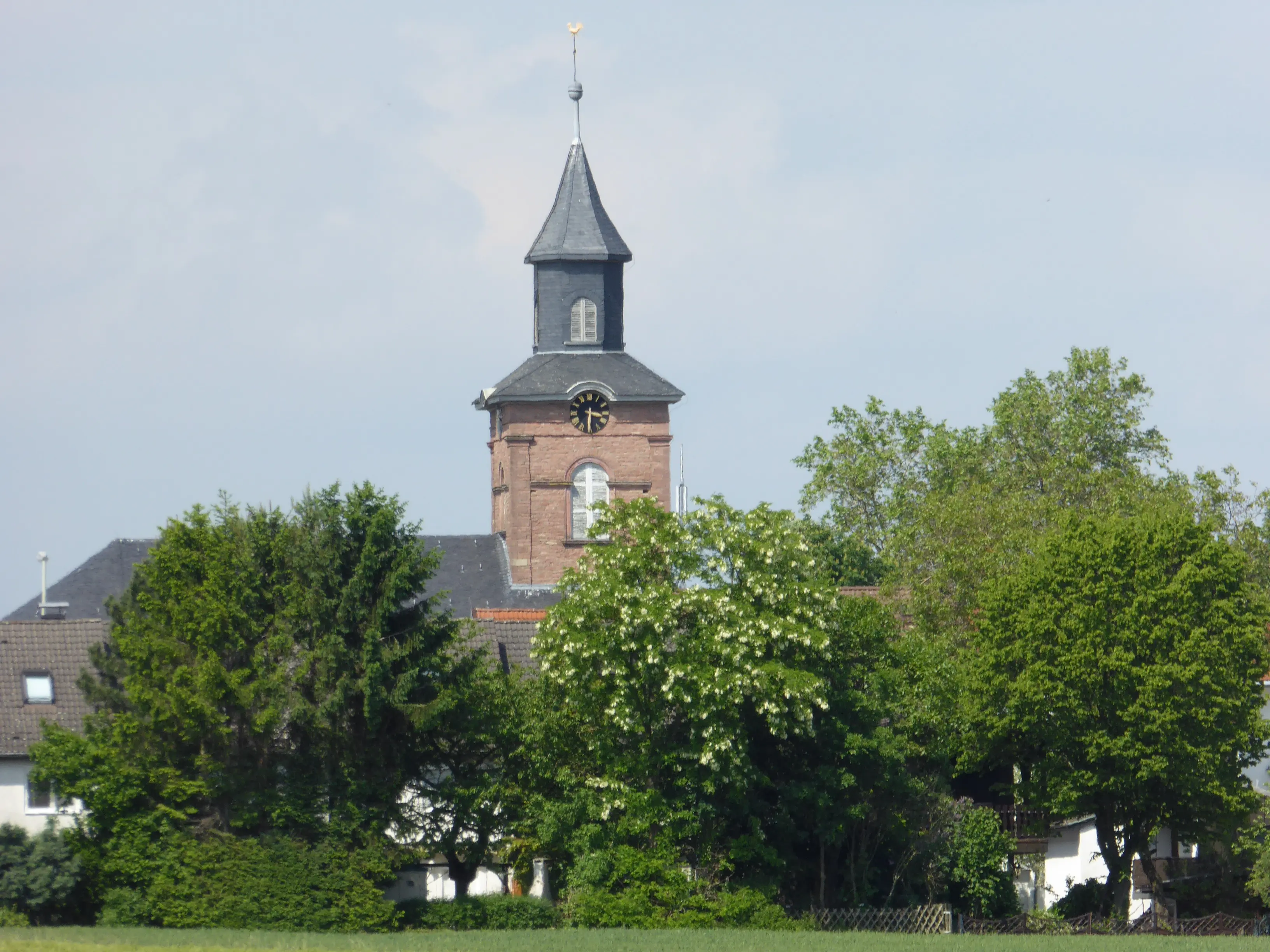 Ev. Kirche im Sommer, umgeben von grünen Bäumen
