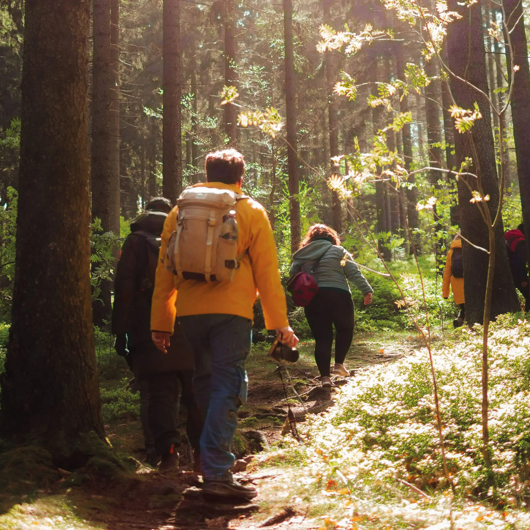 Wandern, Natur, Impuls, nachspüren