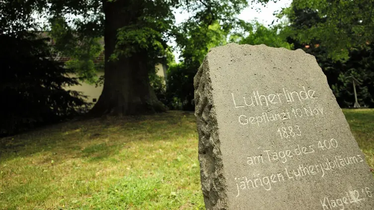 Gedenkstein an der Lutherlinde