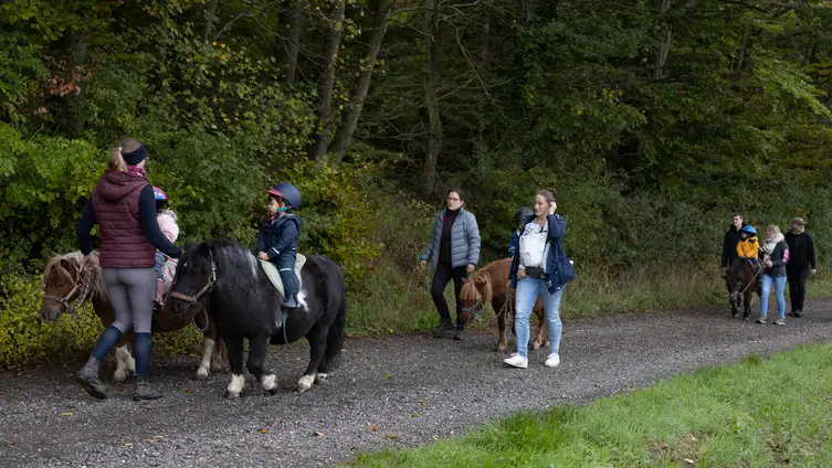 Die Fotos zeigen die KiTa-Kinder bei ihren Aktivitäten während der Waldwochen auf der Scheune.