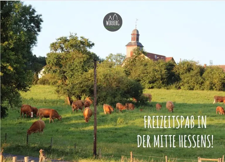 Postkarte mit Kühen