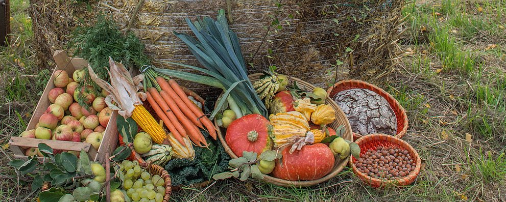 Strohballen mit Obst und Gemüse in Körben zu Erntedank