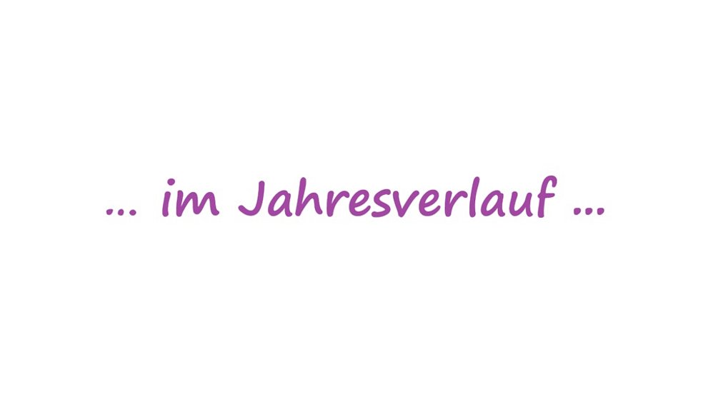 Termine im Jahresverlauf
