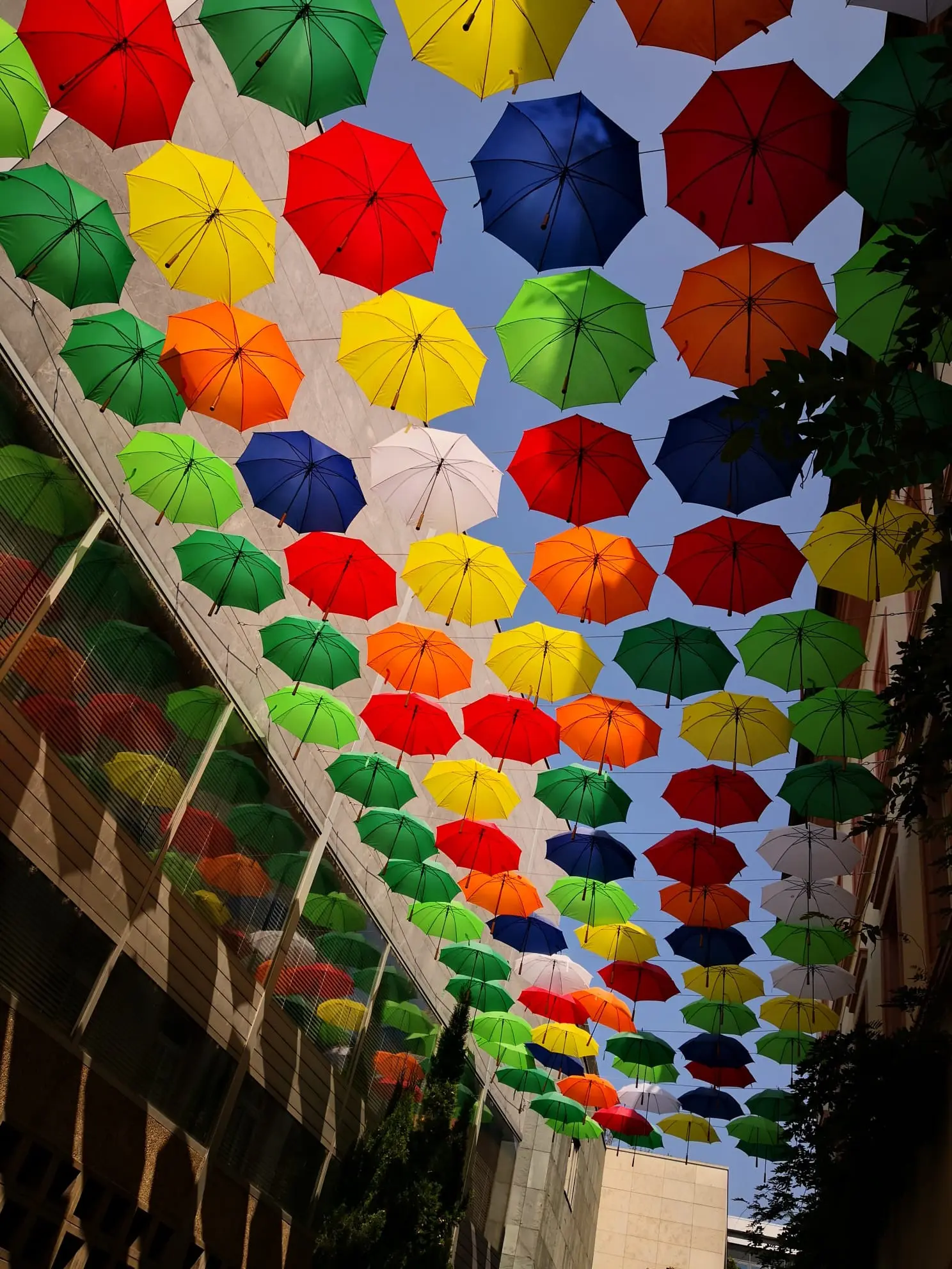 Das Foto zeigt einen bunten Regenschirmhimmel.