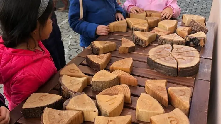 Die Kinder sortieren Baumscheiben!