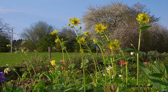 Impressionen aus dem Seemental