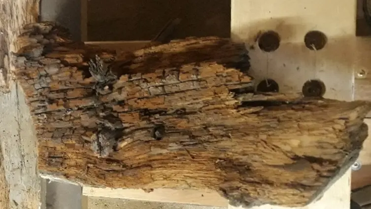 Die Texte und Fotos beruhen auf der "Besonderen Lernleistung - Geschichtsrezeption im digitalen Zeitalter: histocaching" als neue Form der Vergangenheitsbegegnung am Beispiel der Braubacher Barbarakirche." von Tobias Metz.