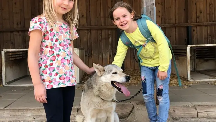 Bilder vom Ausflug der Maxikinder in den Tierpark Bell und der anschließend Abschlussfeier in der KiTa!