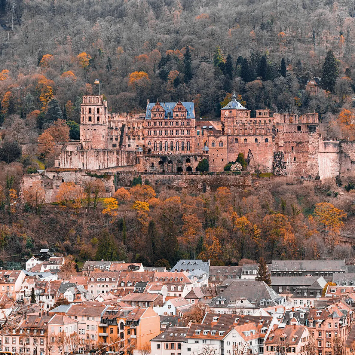 Ausflug Weihnachtsmarkt Heidelberg Studierende ESG Darmstadt