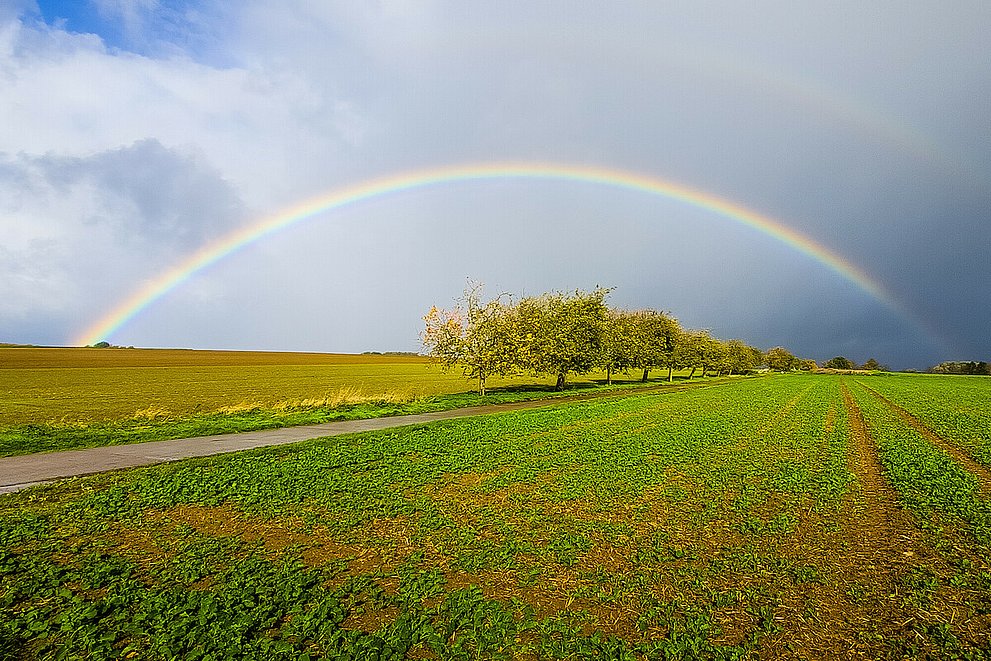 Regenbogen