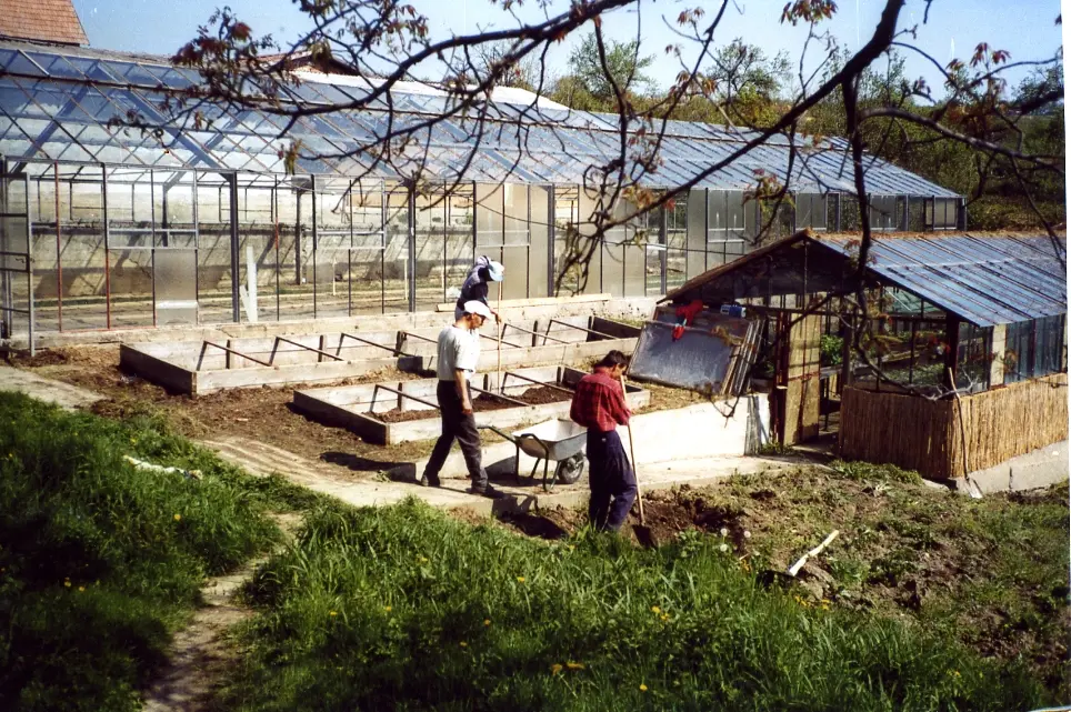 Beginn des Gartenbauprojekts mit zwei kleinen Glasgewächshäusern 1996