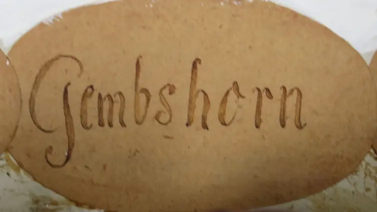 Manual - Gemshorn 4' - Stilrichtung hornig, Nachahmung des gleichnamigen Blasinstruments