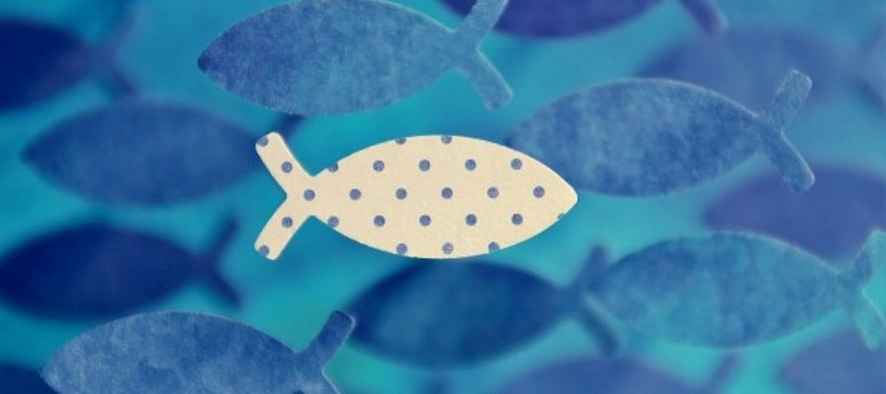 Aus Filz ausgeschnittene blaue Fische vor blauem Hintergrund, in der Mitte ein weißer Fisch mit blauen Punkten.