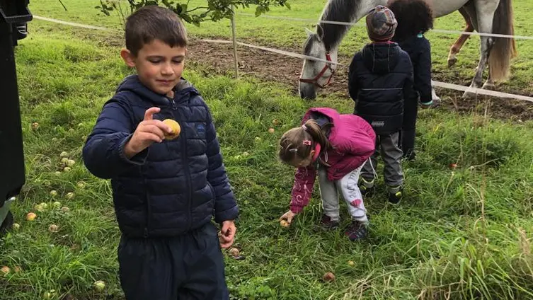 Die Fotos zeigen die KiTa-Kinder bei ihren Aktivitäten während der Waldwochen auf der Scheune.