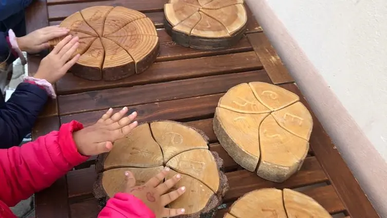 Die Kinder sortieren Baumscheiben!