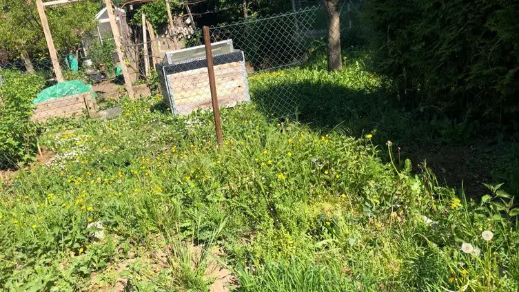 Die Fotos zeigen die Kinder der KiTa während ihrer Erdbeerplanzaktion.