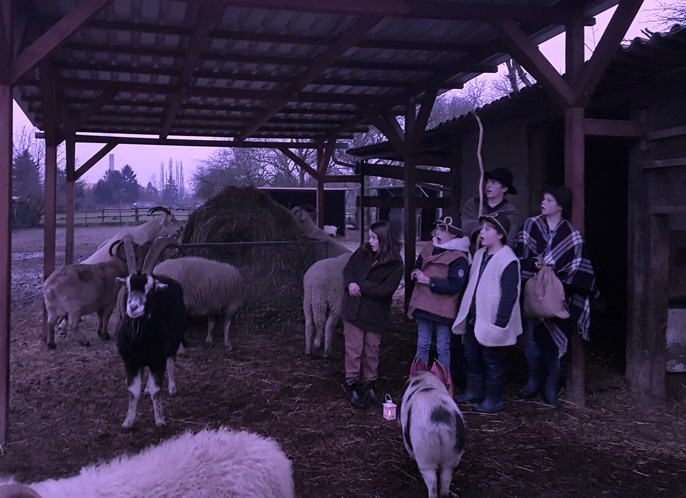 2020 Krippenspiel Hirten bei den Hürden