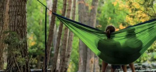 Zwei Menschen sitzen in einer gründurchsichtigen Hängematte im Wald und genießen die Landschaft