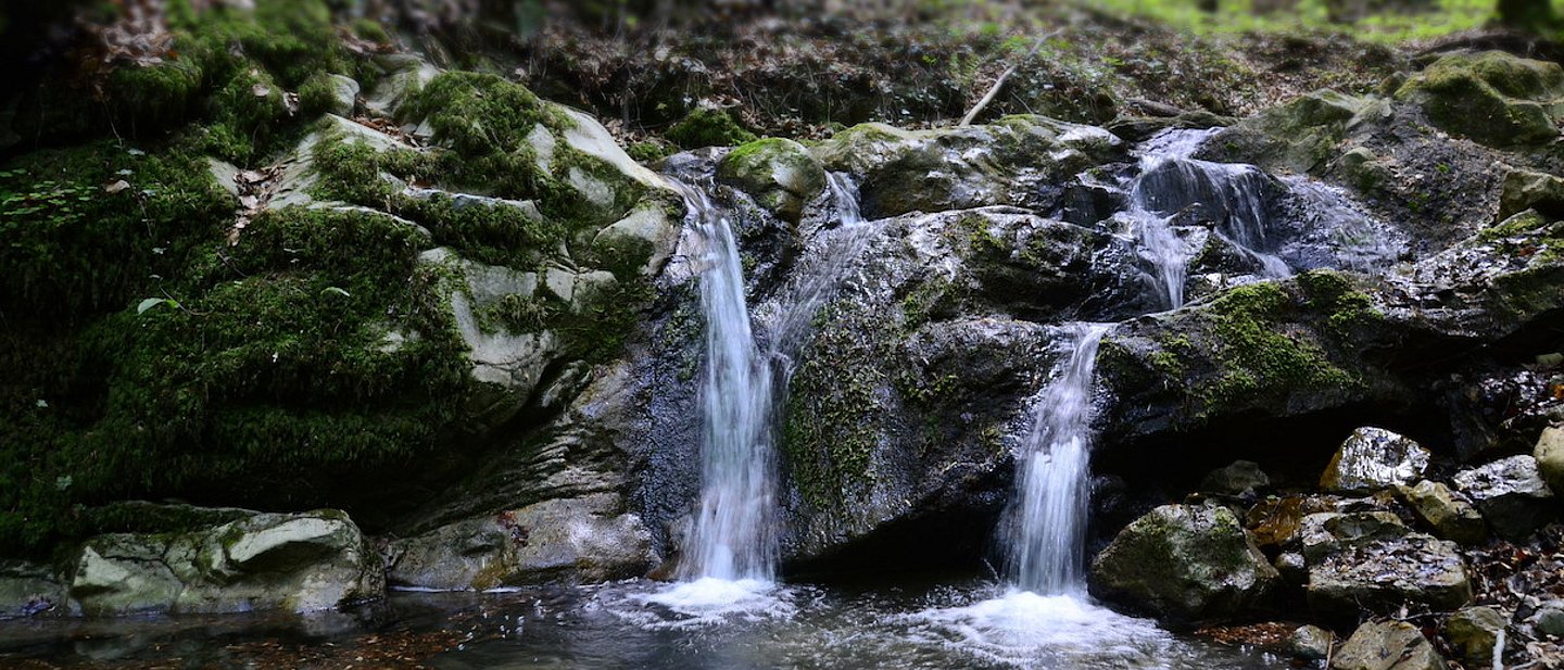 Auf diesem Bild sieht mann einen kleinen Wasserfall in einem Bachlauf in der Nahaufnahme.