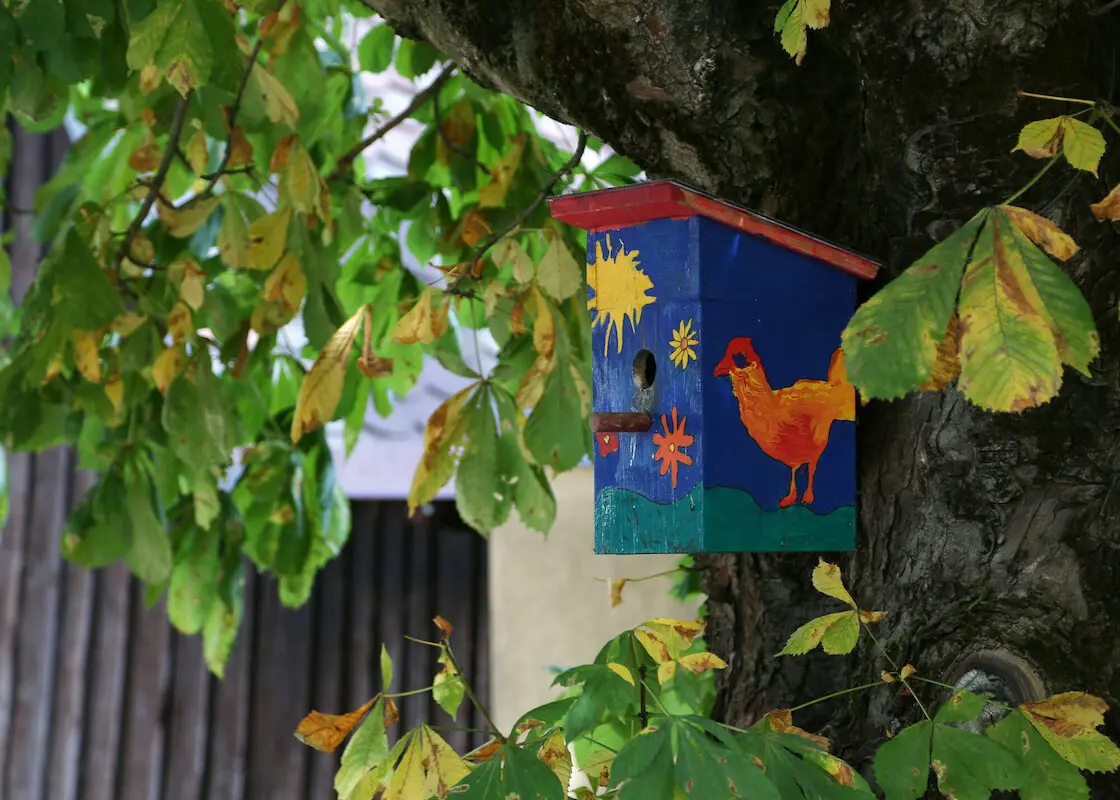 Vogelhaus in Kastanienbaum