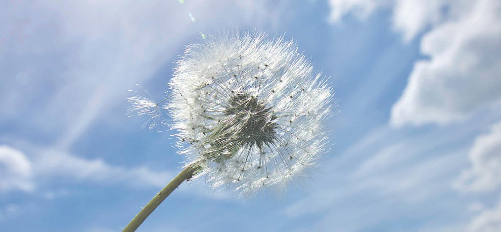 Gespräche Seelsorge Beratung