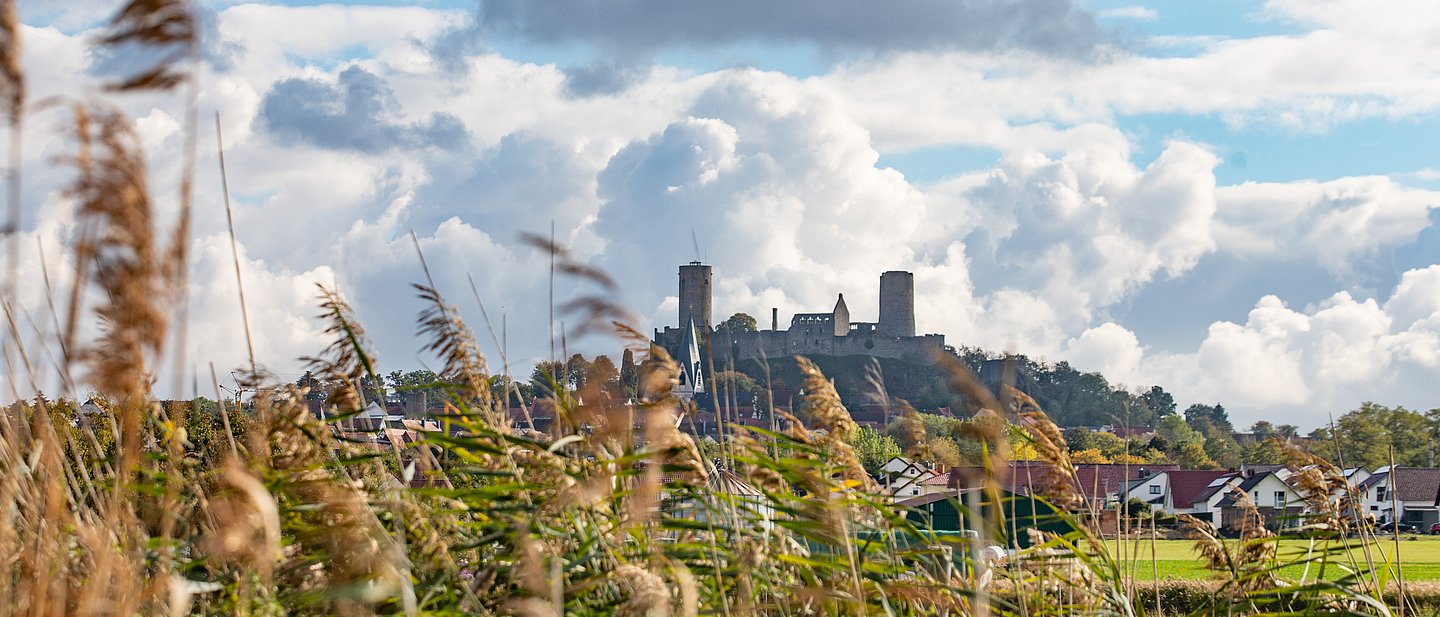 Burg Münzenberg mit Gräsern im Vordergrund