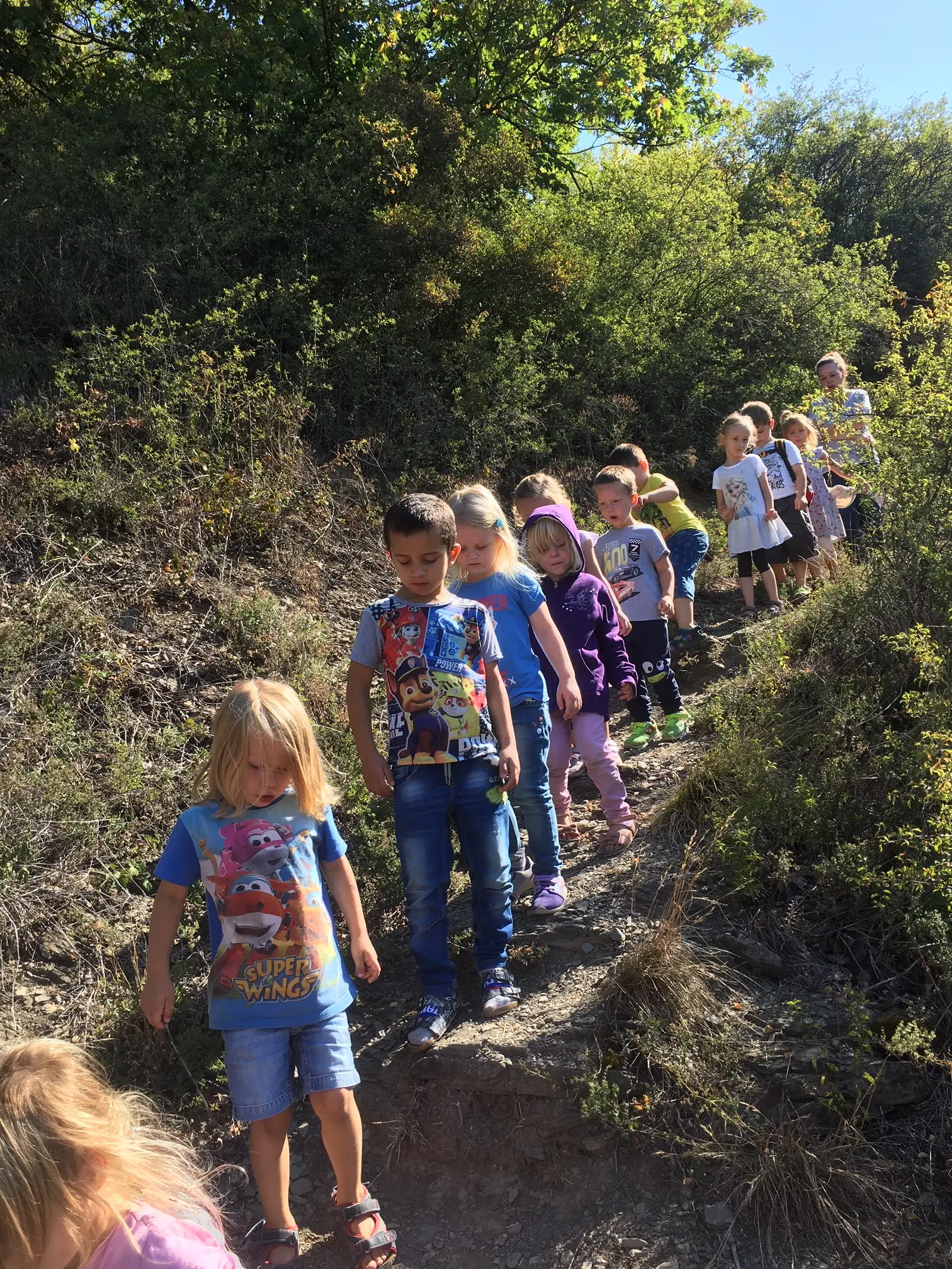 Das Foto zeigt einige KiTakinder auf einem recht steilen Pfad.