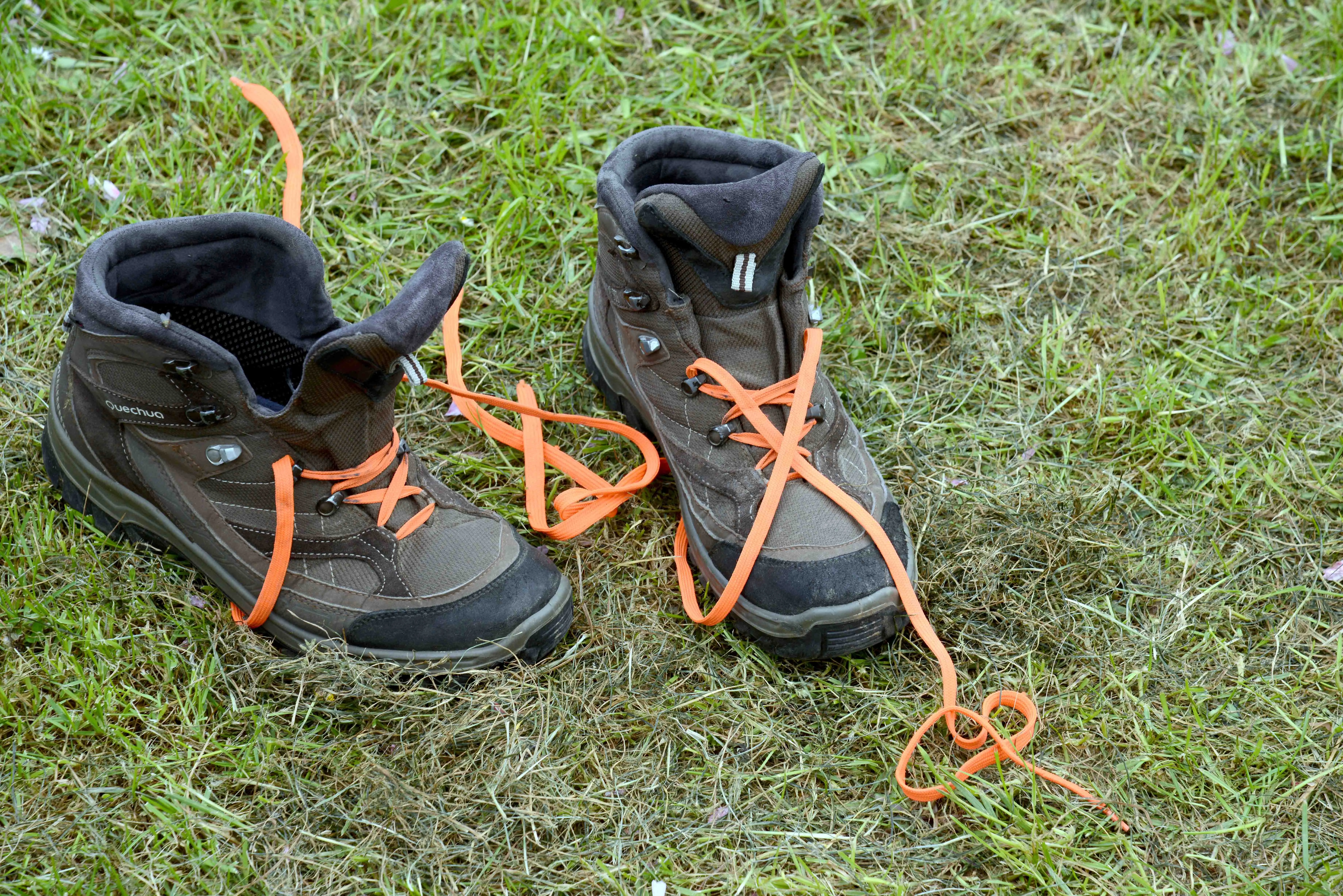 Ein Paar braune Wanderschuhe stehen auf einer Wiese. Die orangefarbenen Schnürsenkel liegen im Gras.