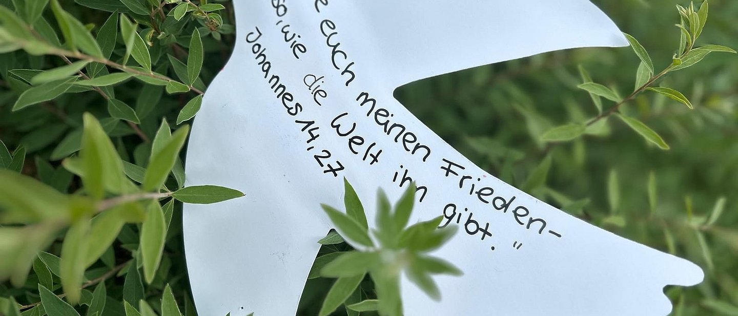 Papiertaube mit Schriftzug im Grünen