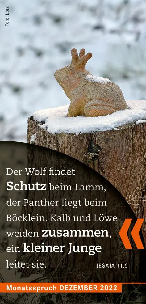 Monatsspruch Dezember 2022