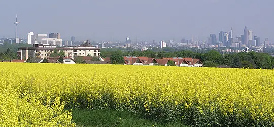 Evangelisches Dekanat Kronberg