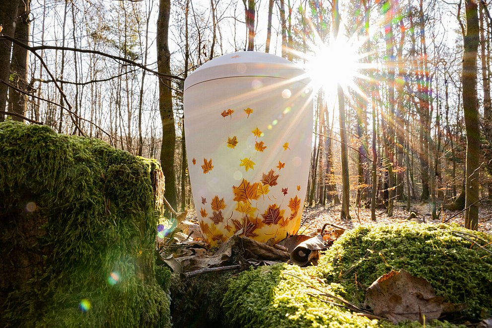 Symbolbild mit Urne - Der RuheForst im Stiftswald Kaufungen. Im Vordergrund sind bemooste Steine im Bild - im Bildhintergrund kahle Bäume und eine sternenförmige Sonne mit Lichtreflexen im Gegenlicht.