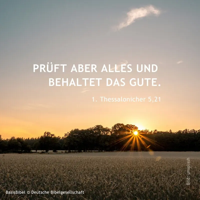 Getreidefeld im sonnenuntergang mit Bibelzitat