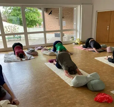 Menschen knien auf Matten am Boden und machen Yoga-Übungen