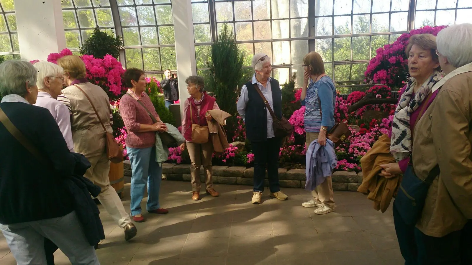 Ausflug des Frauenkreis in den Palmengarten