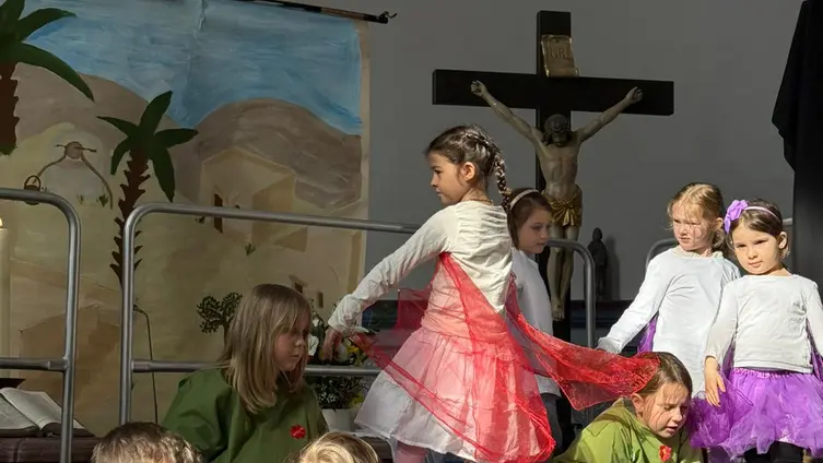 Hallo bunter Schmetterling