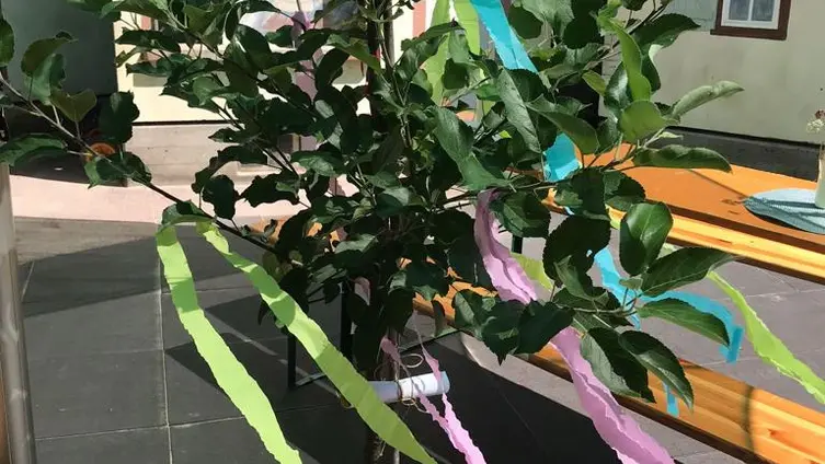 Bilder vom Ausflug der Maxikinder in den Tierpark Bell und der anschließend Abschlussfeier in der KiTa!