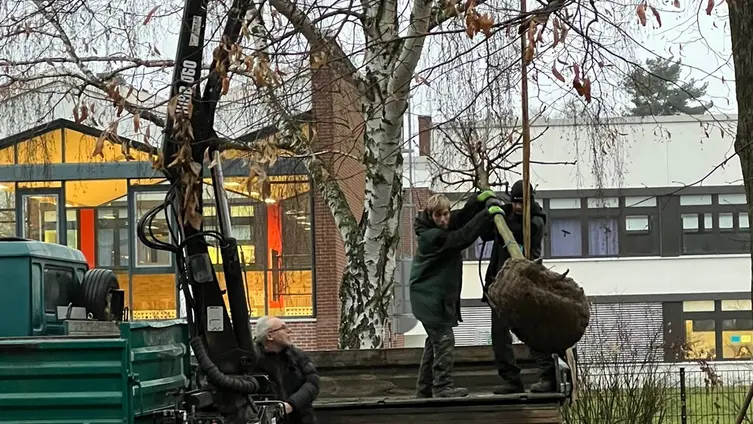 Pflanzaktion Kastanie