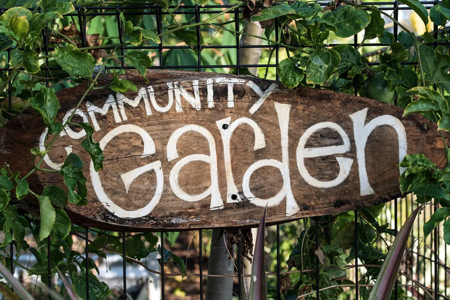 Gartenschild mit der Aufschrift "Community Garden"